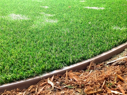Artificial Grass Wonder Edger
