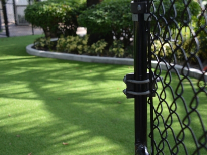 green lawn black chain-link fence synthetic artificial grass grass curved lawn borders