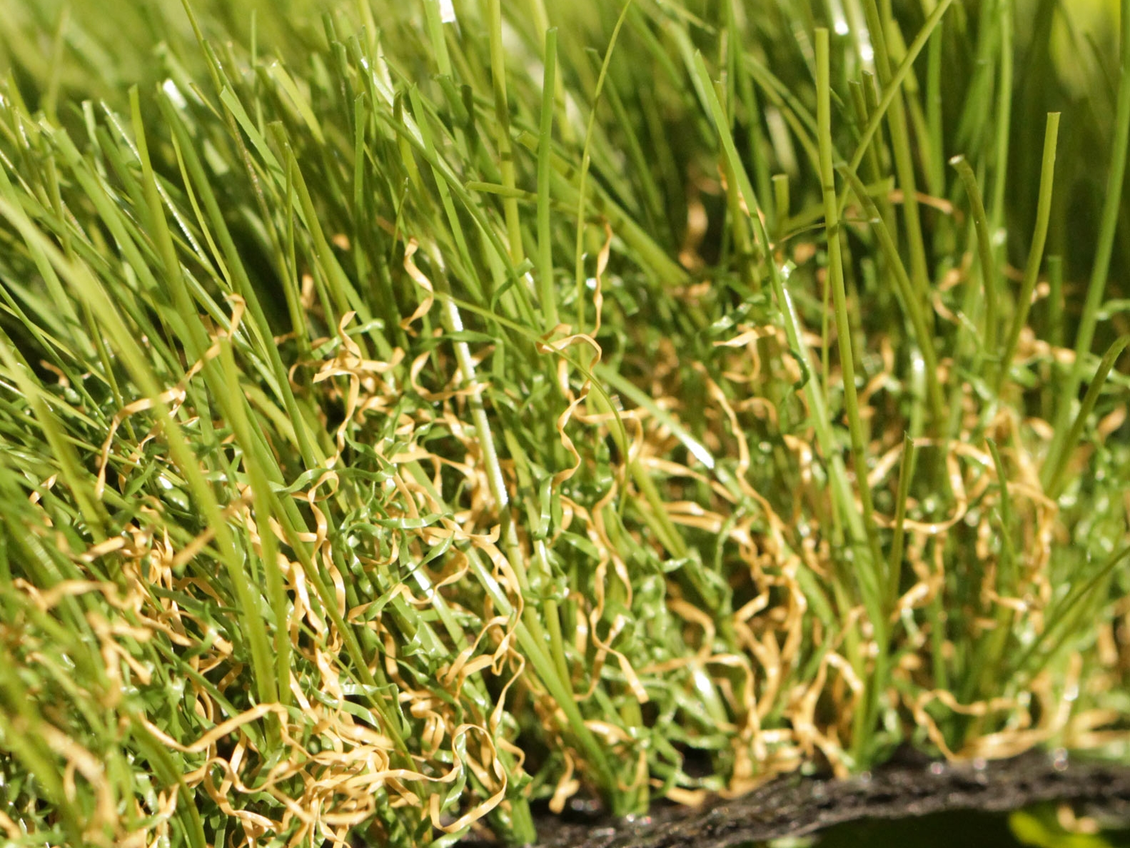 Cashmere 52 ounces artificial grass