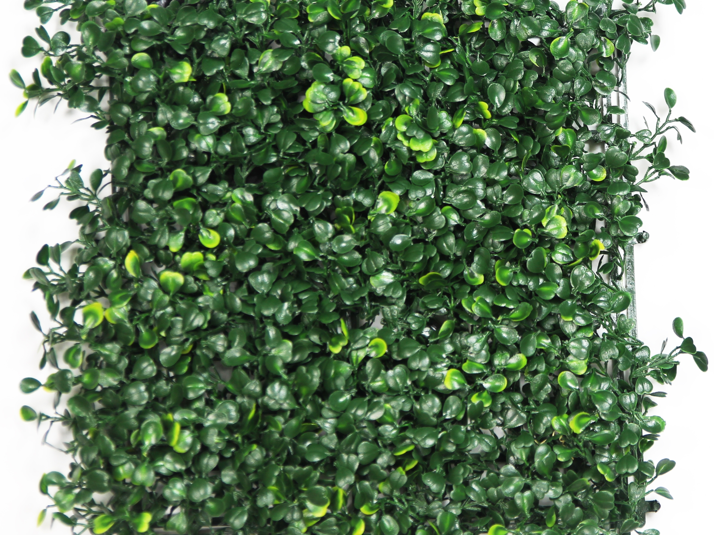 Hawthorn Dark Hedge Artificial Ivy Panel 20