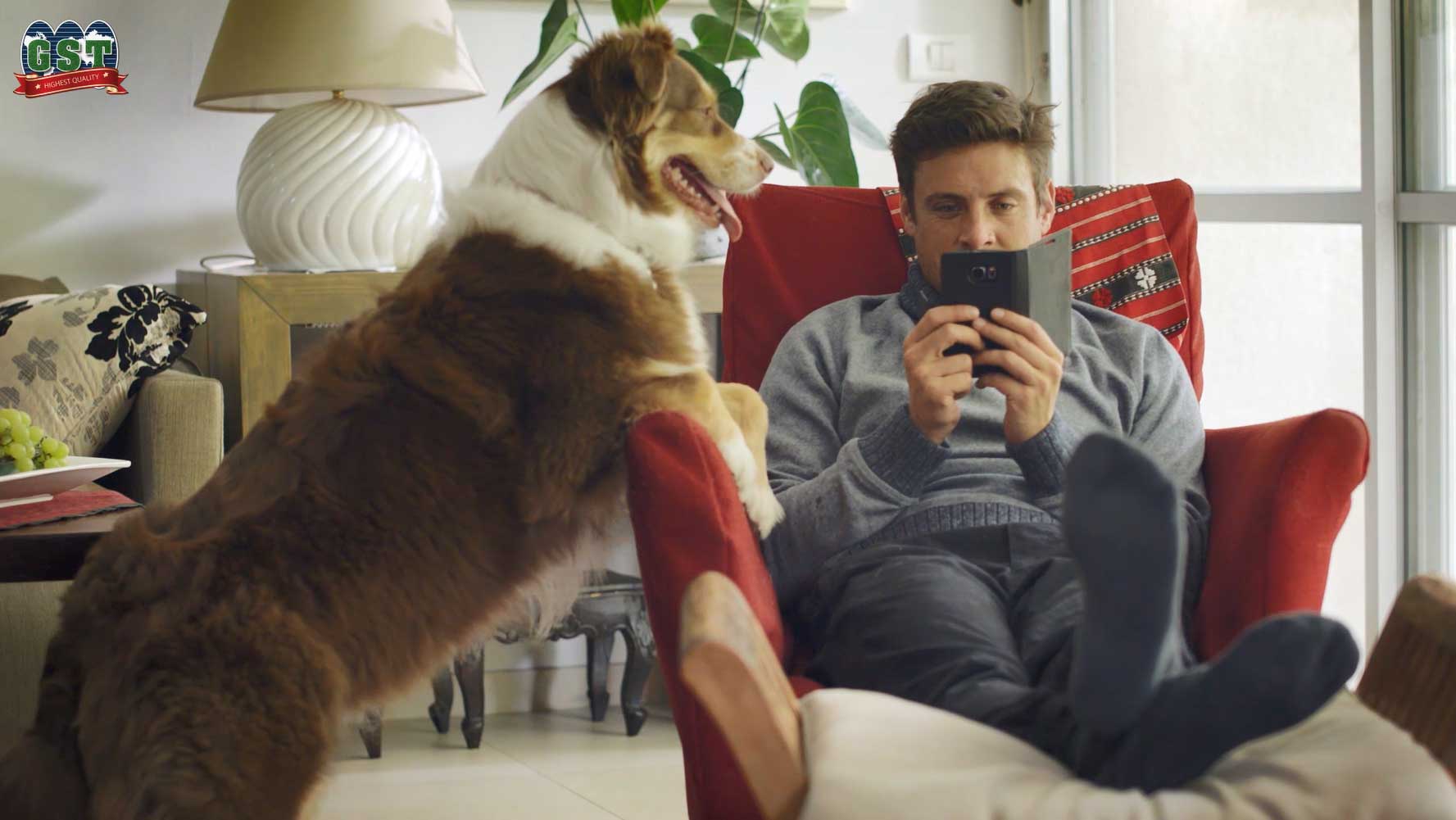 Man sitting in a chair buying online and a big dog
