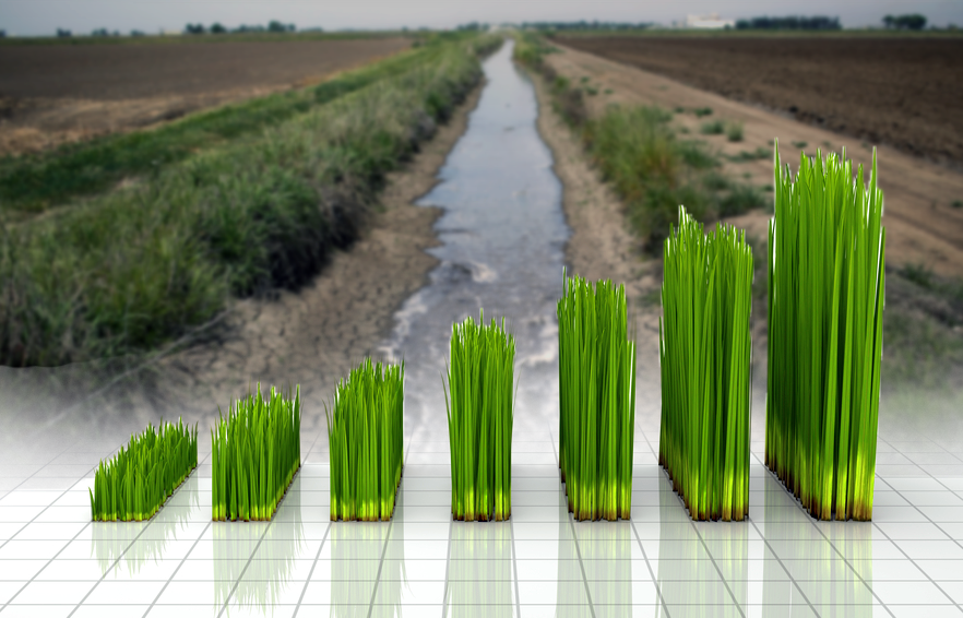 Californias Water Reduction Mandate Feed Artificial Grass Industry Californias Water Reduction Mandate Feed Artificial Grass Industry