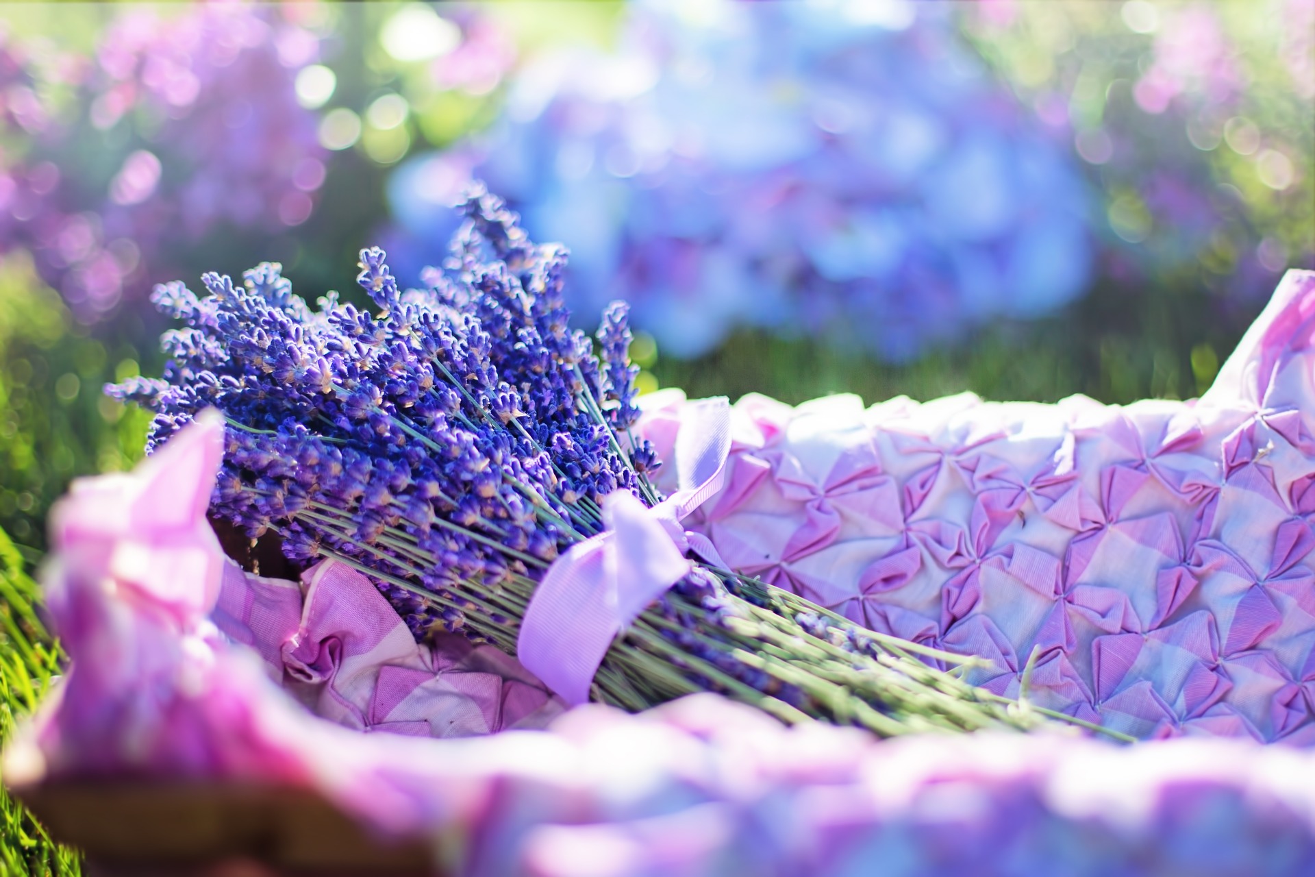 Lavender Lavender Flowers in the basket