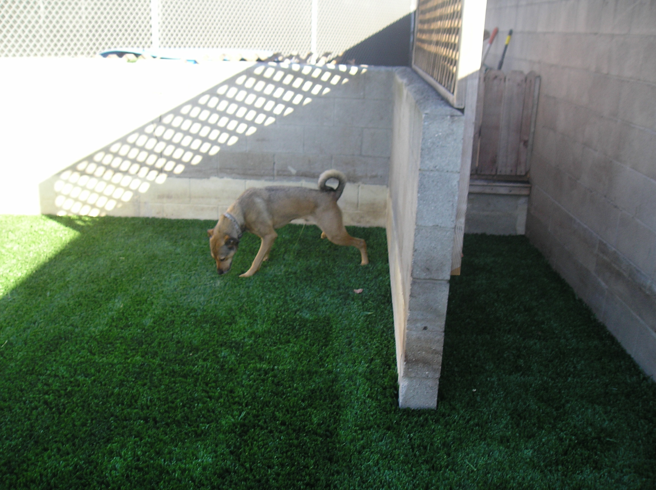 Fake Grass - Are You Ready For A Very Good Factor?